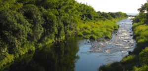 riviere des marsouins sanit benoit ile de la Réunion 2